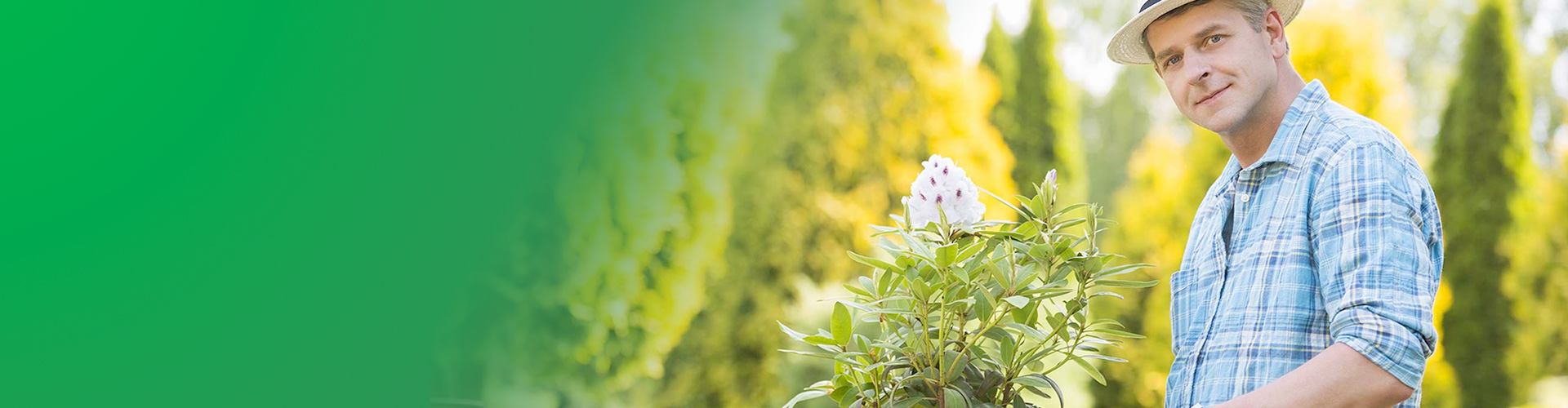 Empresa de Jardinagem em Osasco